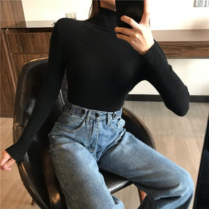 Knitted Women high neck Sweater Pullovers for  Winter